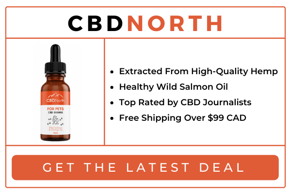 Best CBD Oil For Dogs Canada: Top 3 CBD Treats and Oils - The Southern Maryland Chronicle