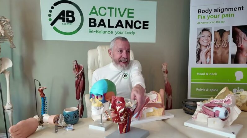 Daily Body MOT Routine Senior Movement Agility Ability Daily