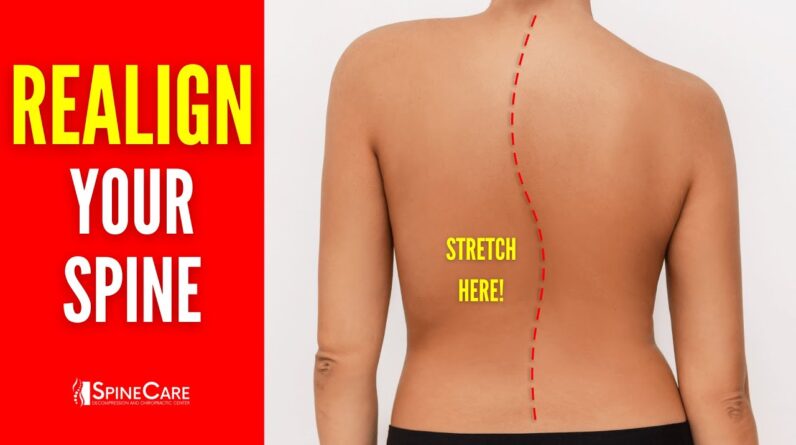 Natural Movement Pain Relief Balanced Posture Within Poise